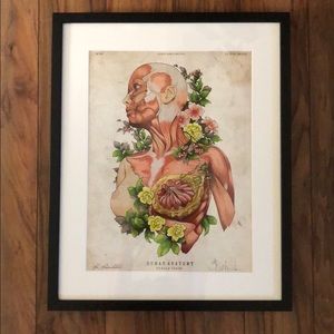 Female Anatomy Print Framed and Matted in Black